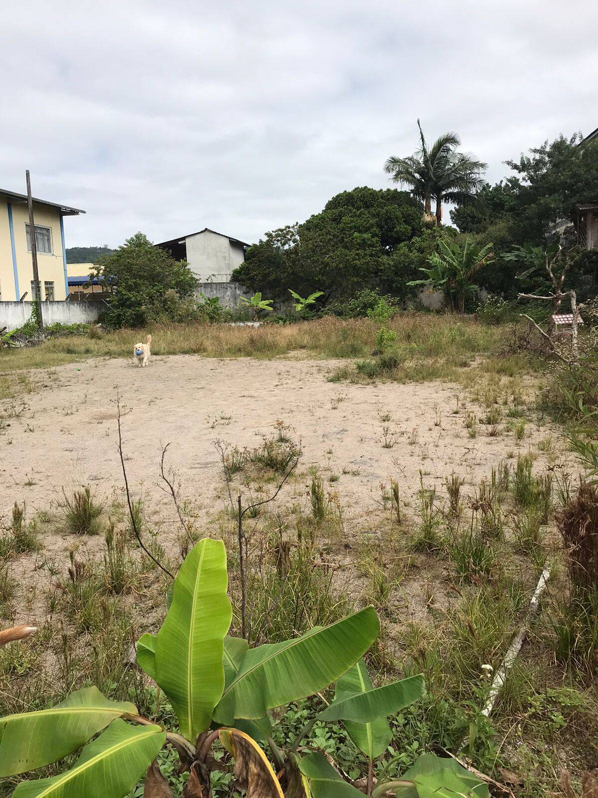 #1268 - Terreno para Venda em São José - SC